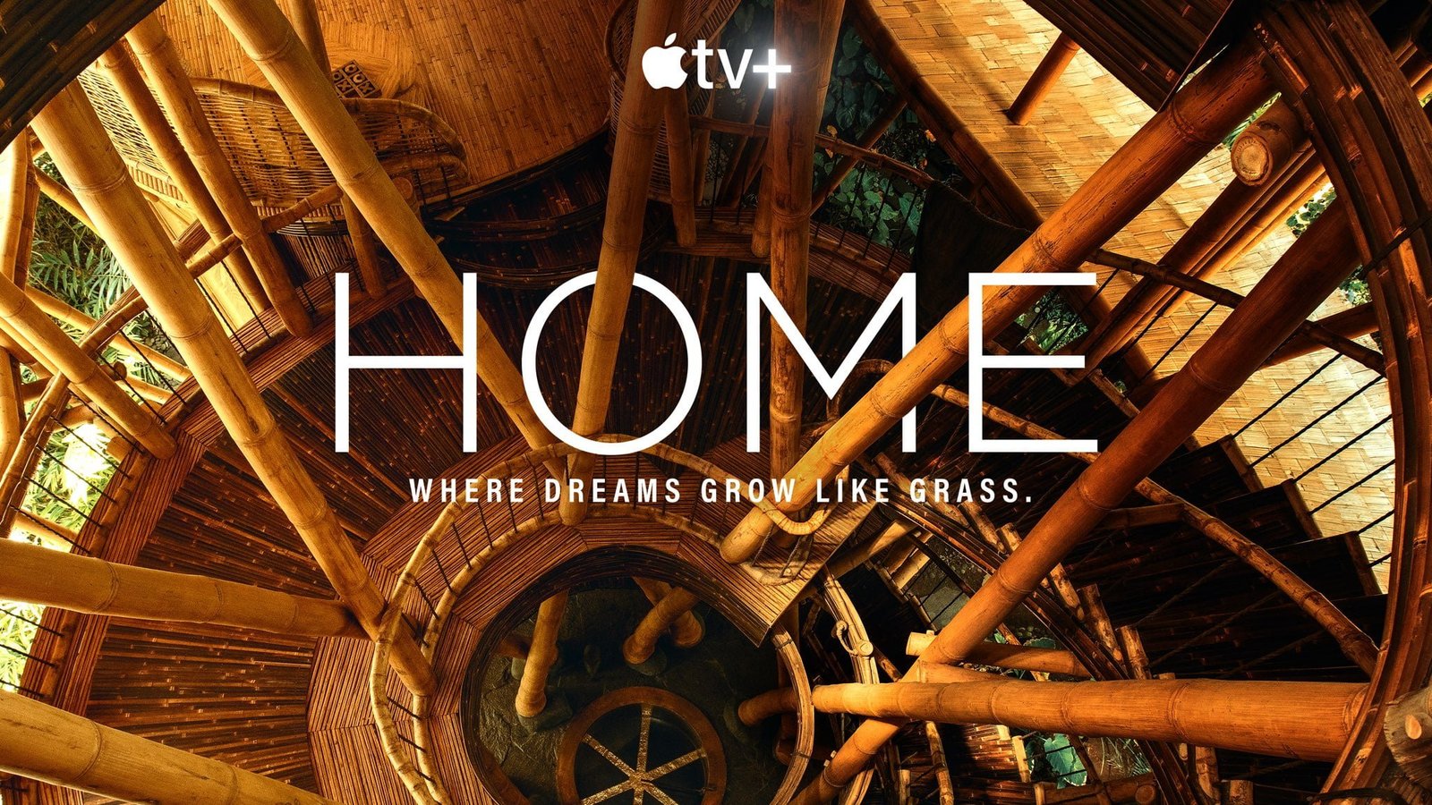 Home Season 2 Renewal and Release Date Status on Apple TV+