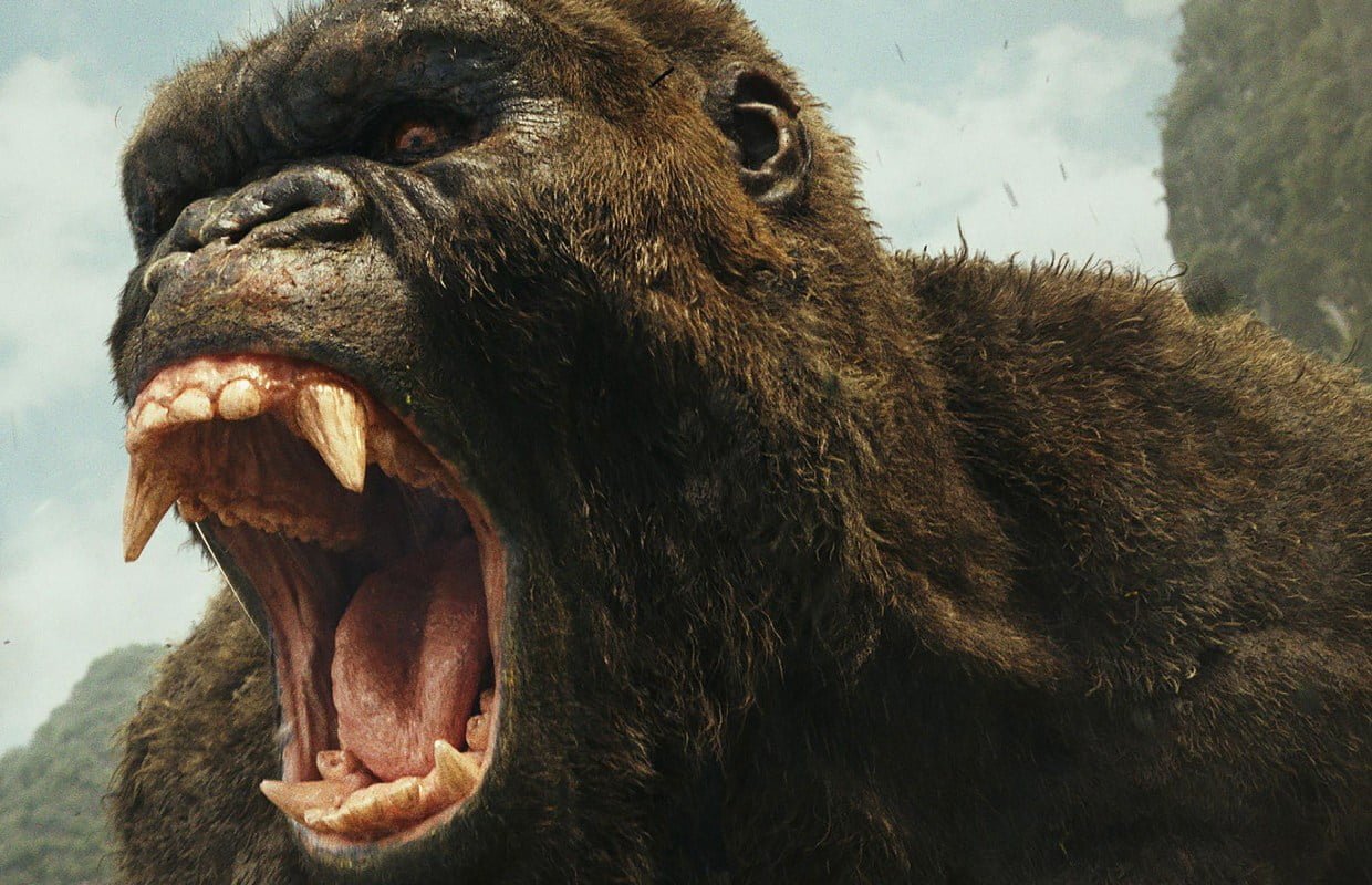 Skull Island Anime 2022 Netflix Release Date updates and Expected Plot