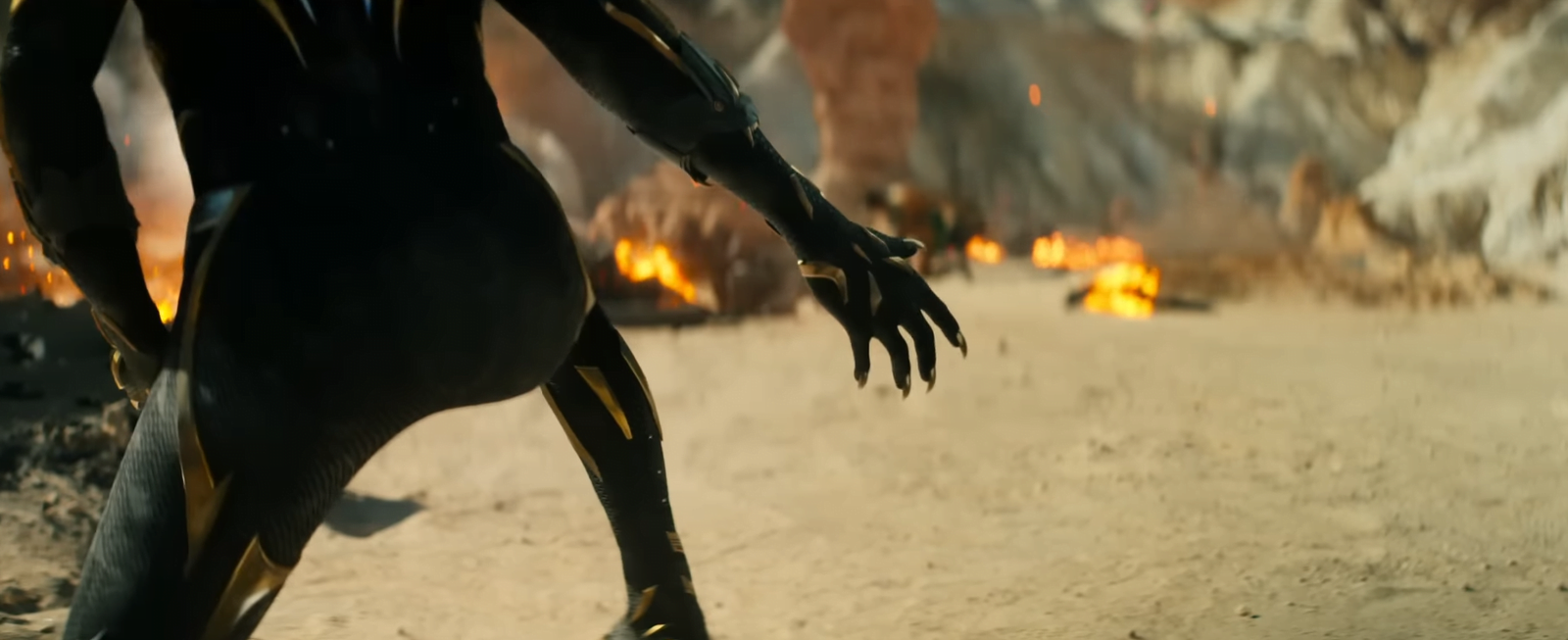 Mysterious new Black Panther