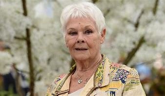 is-oliver-dench-related-to-judi-dench