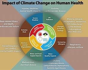 which statistic is-most-closely-related-to-climate?