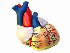 the-problem-of-blood-vessels-dilating-in-compensation-for-trauma-is-primarily-related-to:
