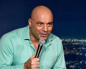 is-joe-rogan-related-to-seth-rogen