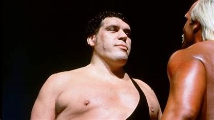 is-paul-white-related-to-andre-the-giant