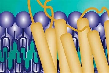 how-does-cell-signaling-provide-evidence-to-justify-the-claim-that-all-life-is-related
