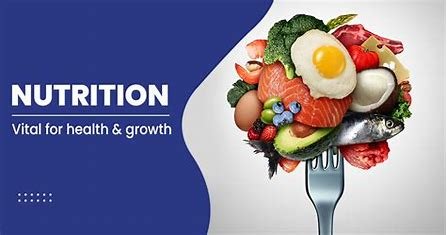 how-good-nutrition-is-related-to-the-other-components