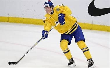 is-gustav-lindstrom-related-to-nick-lidstrom