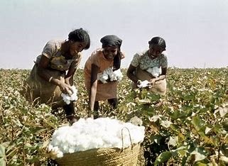 which-natural-resource-is-related-to-mills