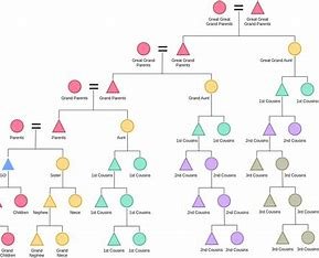 ego-is-related-to-which-kind-of-kin-through-marriage?