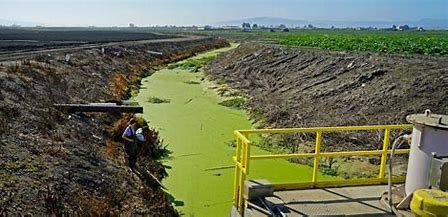 which-is-a-problem-related-to-runoff-of-fertilizer-apex
